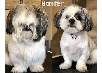 Hair of The Dog Nottingham