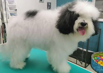 Hairy Poppins Hampshire