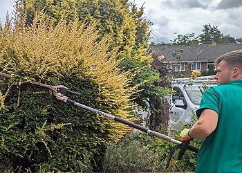 Hallett's Garden Maintenance