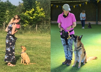 Hampshire Dog Club