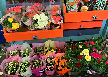 3 Best Florists in Southend On Sea, UK - Expert Recommendations