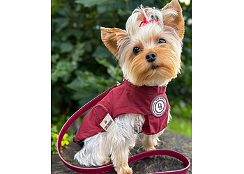 Hannahs Dog Grooming