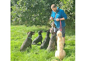 Calderdale dog walkers Happy Days Dog Walking, Training and Pet Care Brighouse  image 1