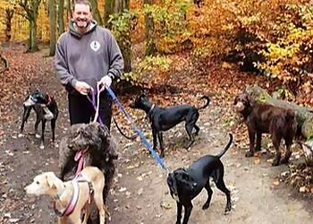 Happy Days Dog Walking, Training and Pet Care Brighouse