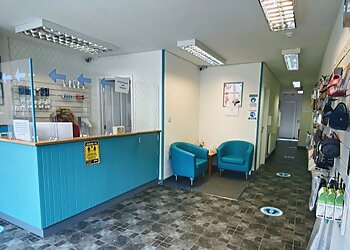 Happy Feet Happy Sole