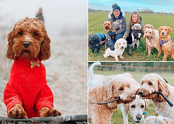 Happy Hounds Coventry