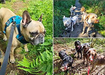 Happy Paws Dog Walking & Pet Sitting