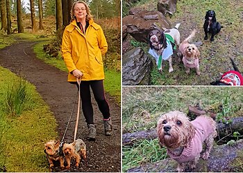 Happy Paws Dog Walking & Pet Services