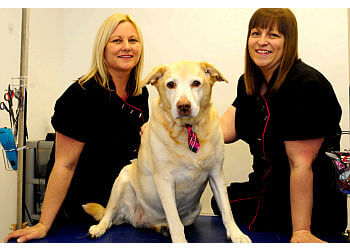 Happy Tails Dog Groomers