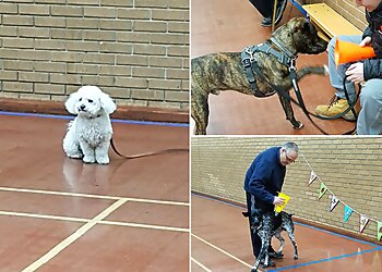 Happy Tails Training