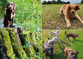 Happy Waggers & Sleepy Whiskers