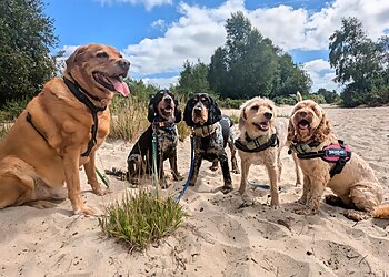 Harbour Tails Dog Club
