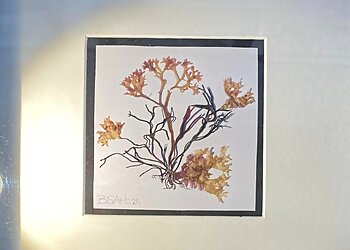 Harding House Gallery