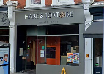 Hare & Tortoise