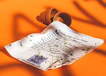 Hatch Print Hatch Print