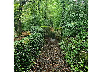 Haughton Dale Nature Reserve