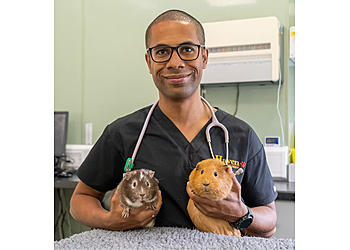 Haven Veterinary Group