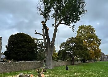 Hawkins Tree & Fencing Services