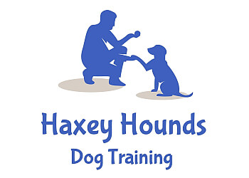 Haxey Hounds Dog Training
