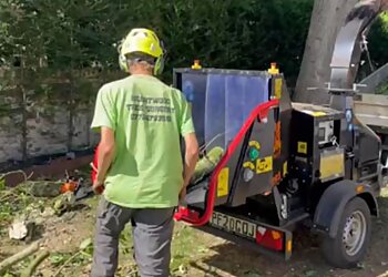 Heartwood tree surgery