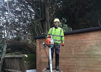 Heartwood tree surgery