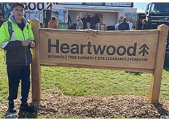 Heartwood tree surgery