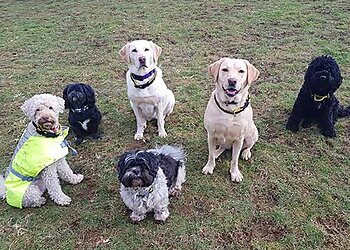 Heathers Pet Services