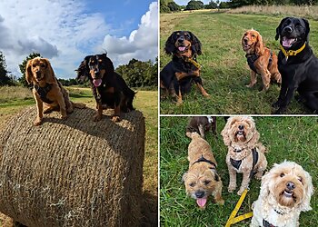 Heathers Pet Services