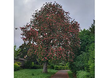 Heavitree Pleasure Ground