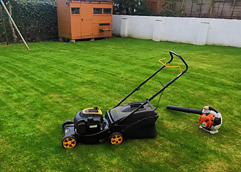 Hedge Stars Aberdeen