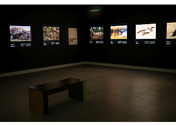 Herbert Art Gallery & Museum