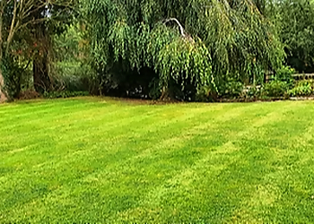 Herefordshire Garden Services