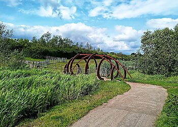 Herrington Country Park