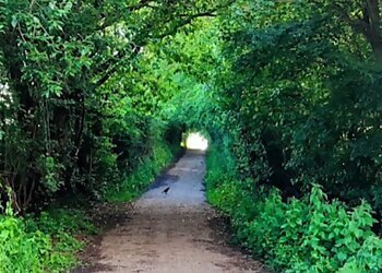 High Woods Country Park