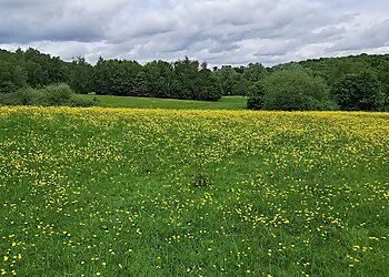 High Woods Country Park