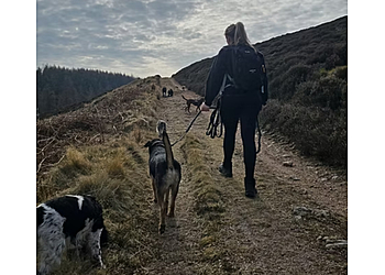 Hiking Tails Dog Walking Services