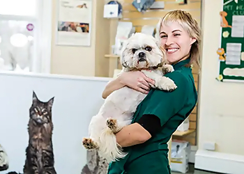 Hillman Vets Arboretum