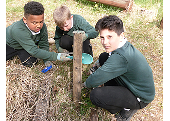 Hillside Primary School