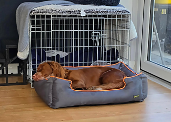 Hilltop Dogs Hilltop Dogs