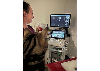 Hird & Partners Veterinary Surgeons