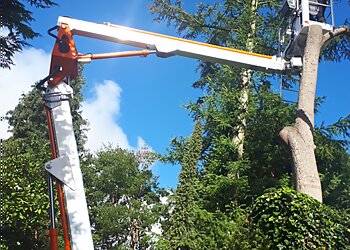 Holly Oak Tree Services Limited