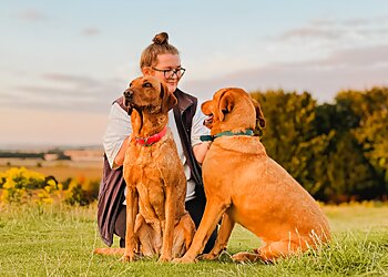 Winchester dog walkers Holly and The Dogs image 1