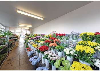 Homeland Florists