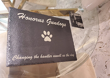 Honoris Gundogs & Dog Training