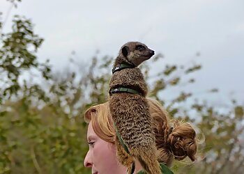 Hoo Zoo and Dinosaur World