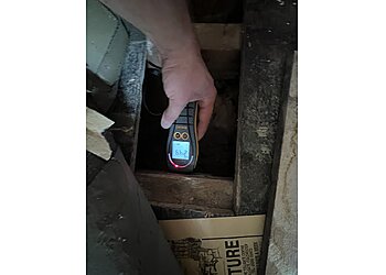 House to Home Chartered Surveyors