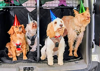 How4you Canine How4you Canine