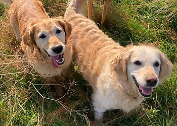 Huddersfield Pet Sitters