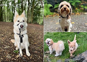 Huddersfield Pet Sitters