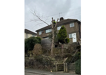 Huddersfield Tree Cutting and Garden Maintenance
